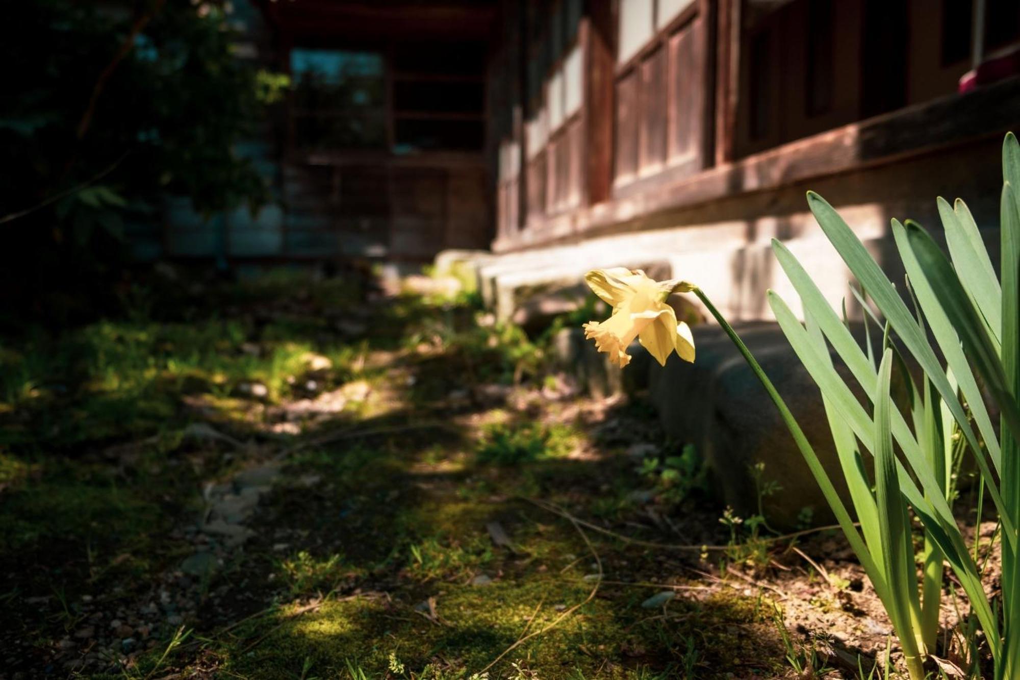 Honno Ryokan / Vacation Stay 60049 Yahaba Exterior photo